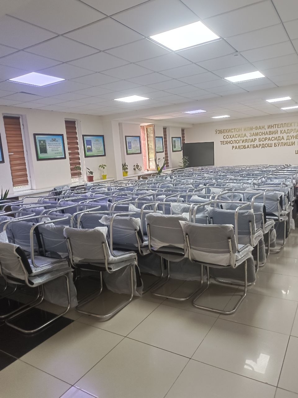 Majlis zali uchun o'rindiqlar